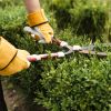 close-up-person-using-trimming-tool-bush